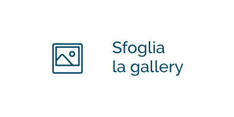 Sfoglia la Gallery